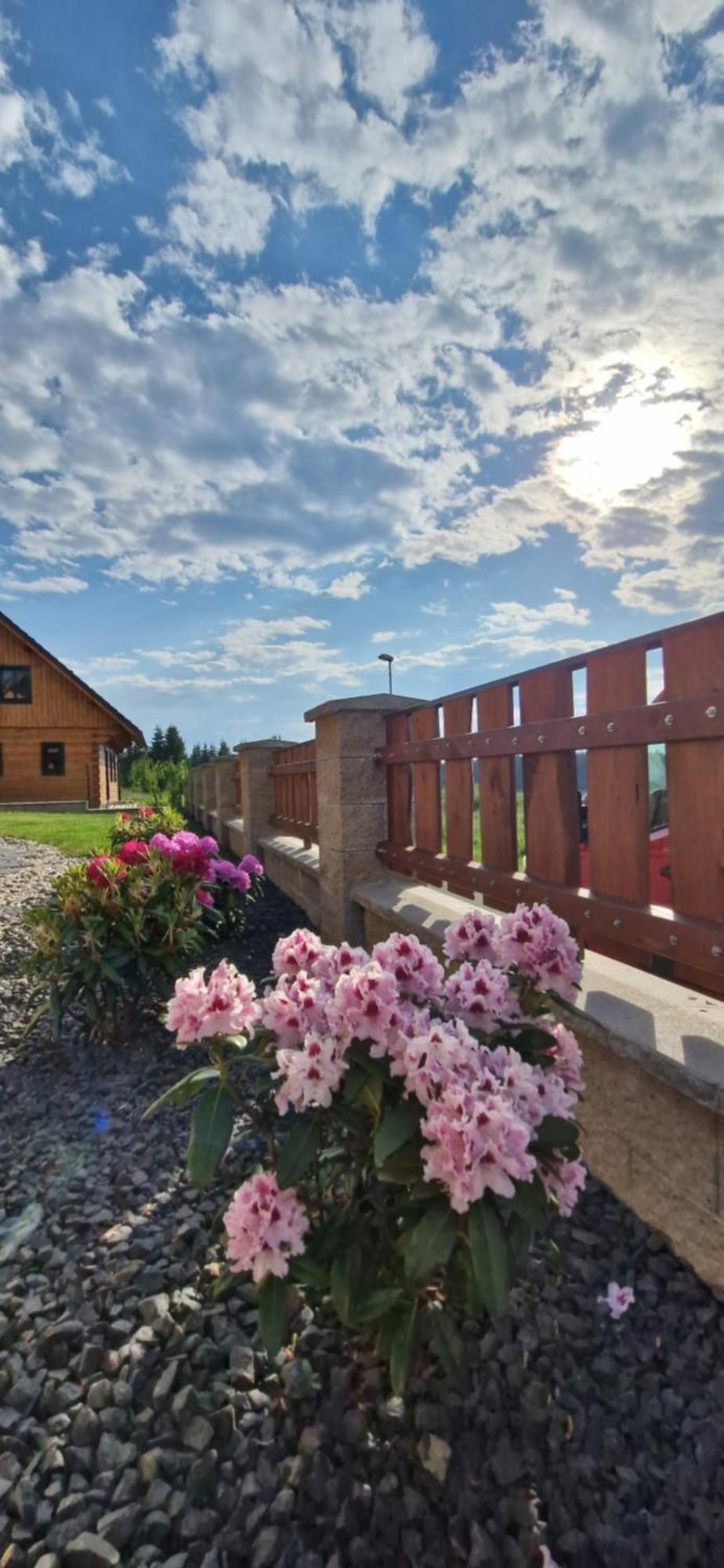 Apartmány Plešivec Abertamy Exterior foto